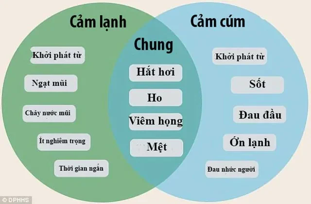 "Giải Mã" Hành Trình Của Cảm Cúm: 5 Giai Đoạn Phát Triển Cần Biết