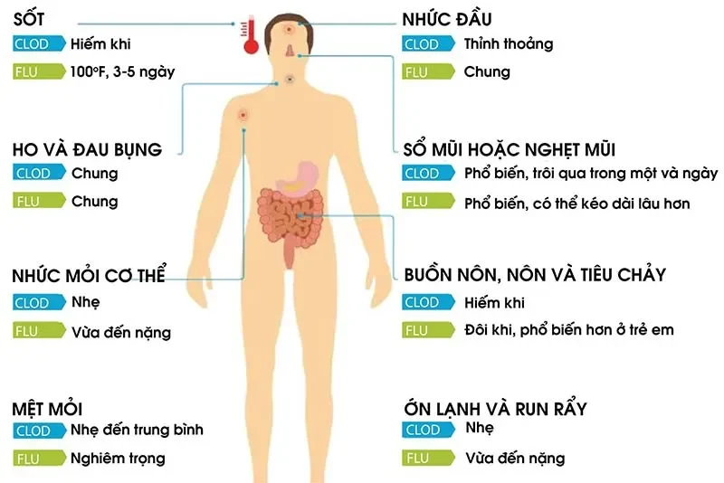 Giai Đoạn 2: Khởi Phát (Prodromal Stage) - "Những Dấu Hiệu Đầu Tiên"