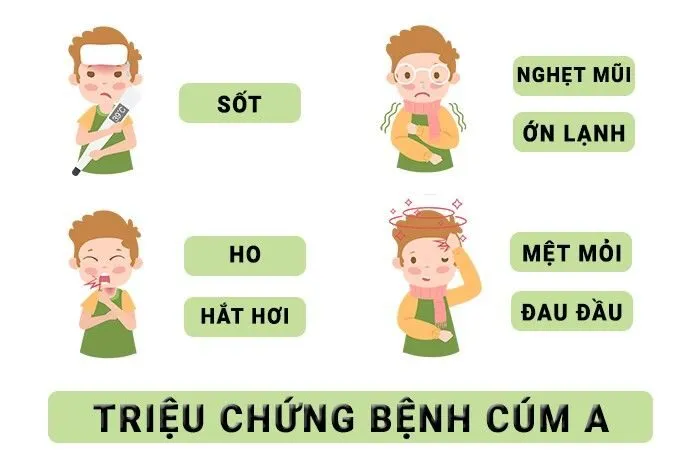 Virus Cúm "Tồn Tại" Bao Lâu Bên Ngoài Cơ Thể?