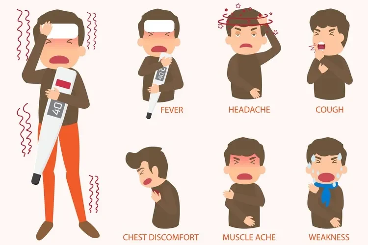 Cảm Cúm "A-Z": Định Nghĩa, Nguyên Nhân Gây Bệnh