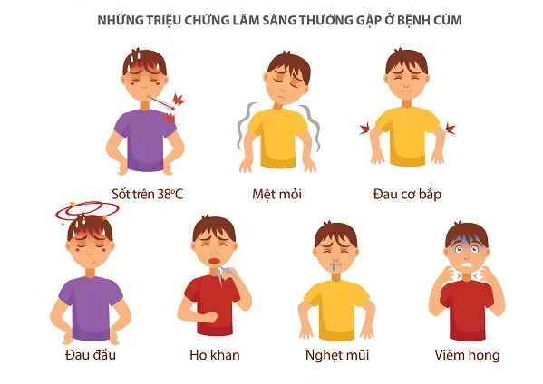 "Thủ Phạm" Gây Ra Cảm Cúm: Virus Cúm