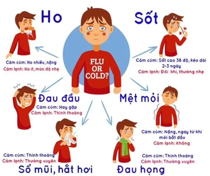 cúm A H1PDM lây từ đầu