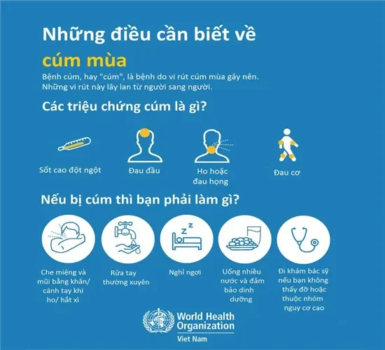 Cúm mùa là gì và tại sao chúng ta cần quan tâm đến mùa cúm?