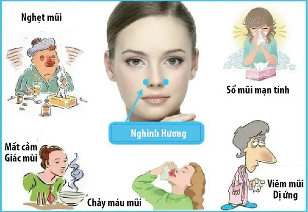 Làm sao để ngừng chảy nước mũi