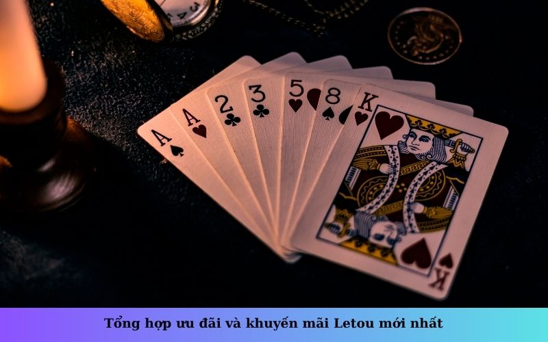 Tổng hợp ưu đãi và khuyến mãi Letou mới nhất