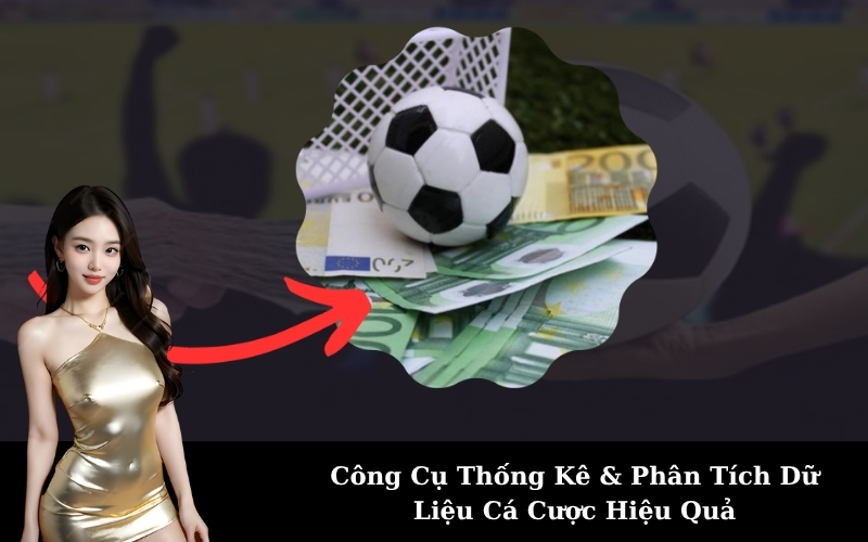 Công Cụ Thống Kê & Phân Tích Dữ Liệu Cá Cược Hiệu Quả