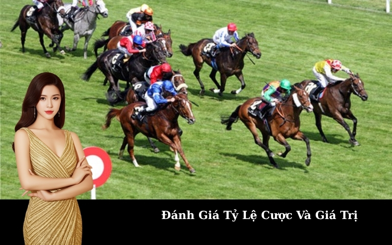 Đánh Giá Tỷ Lệ Cược Và Giá Trị