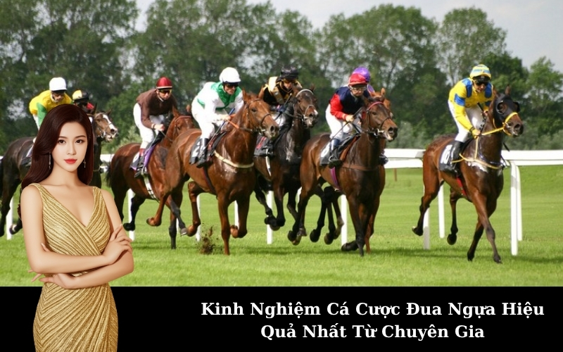 Kinh Nghiệm Cá Cược Đua Ngựa Hiệu Quả Nhất Từ Chuyên Gia