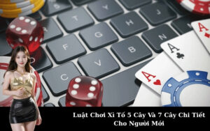 Luật Chơi Xì Tố 5 Cây Và 7 Cây Chi Tiết Cho Người Mới