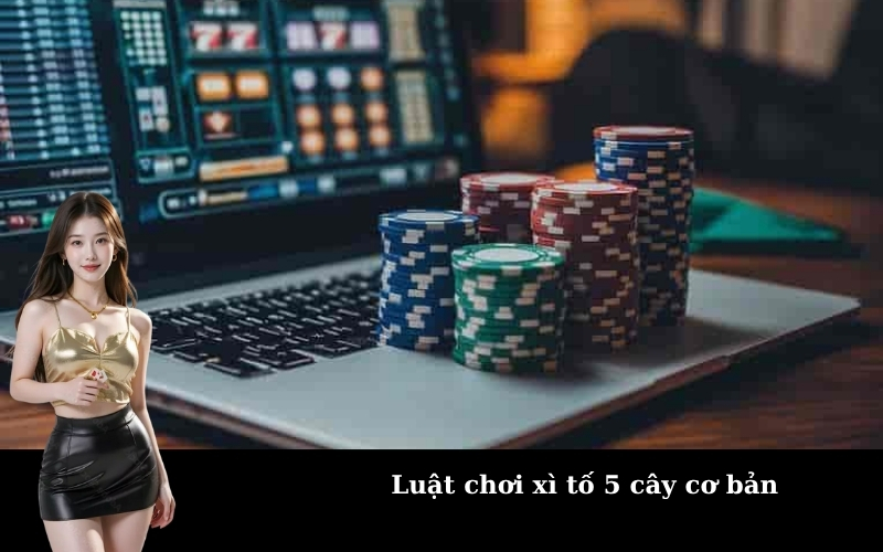 Luật chơi xì tố 5 cây cơ bản