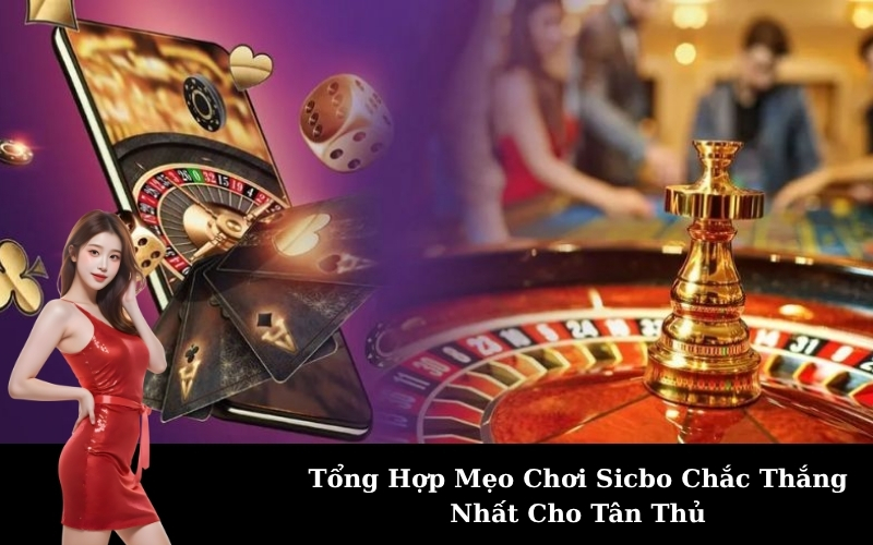 Tổng Hợp Mẹo Chơi Sicbo Chắc Thắng Nhất Cho Tân Thủ